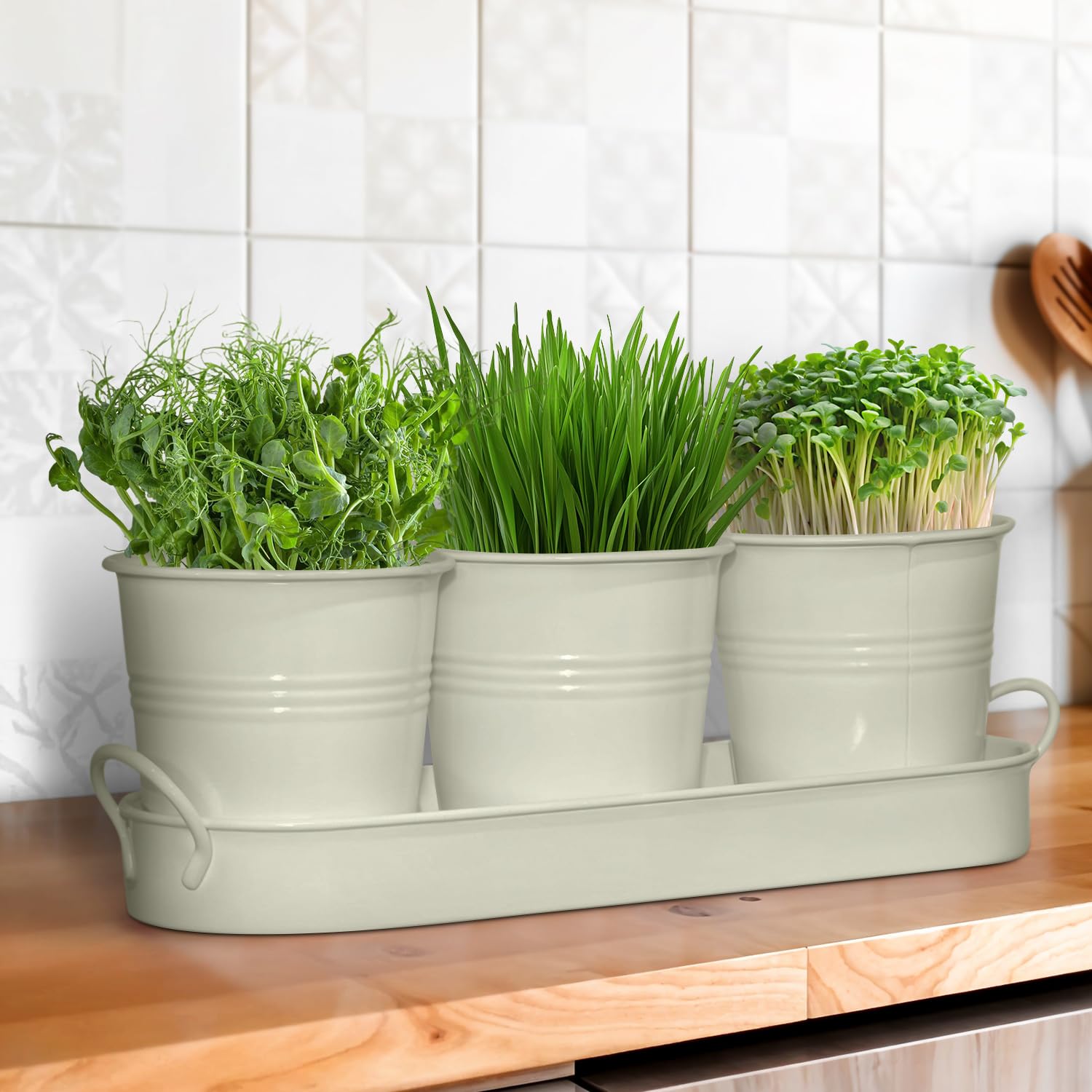 Set of 3 Beige Metal Garden Planters with Tray