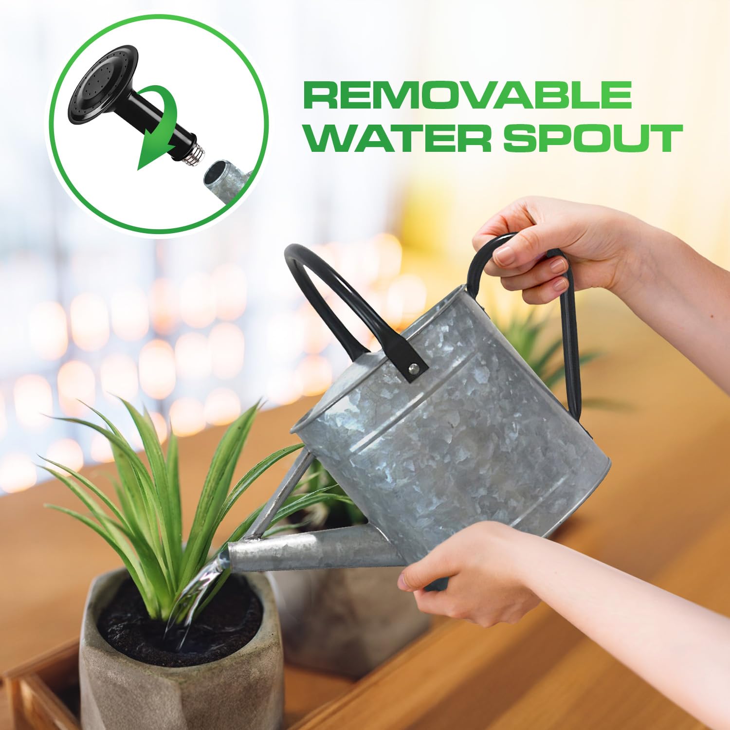 1 Gallon Acid Pickling Galvanized Metal Watering Can with Black Handle and Spout
