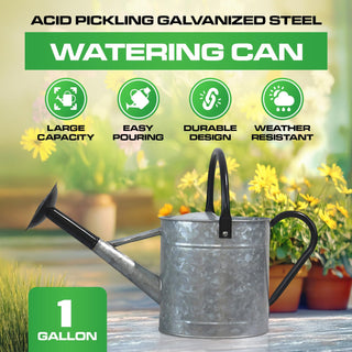 1 Gallon Acid Pickling Galvanized Metal Watering Can with Black Handle and Spout