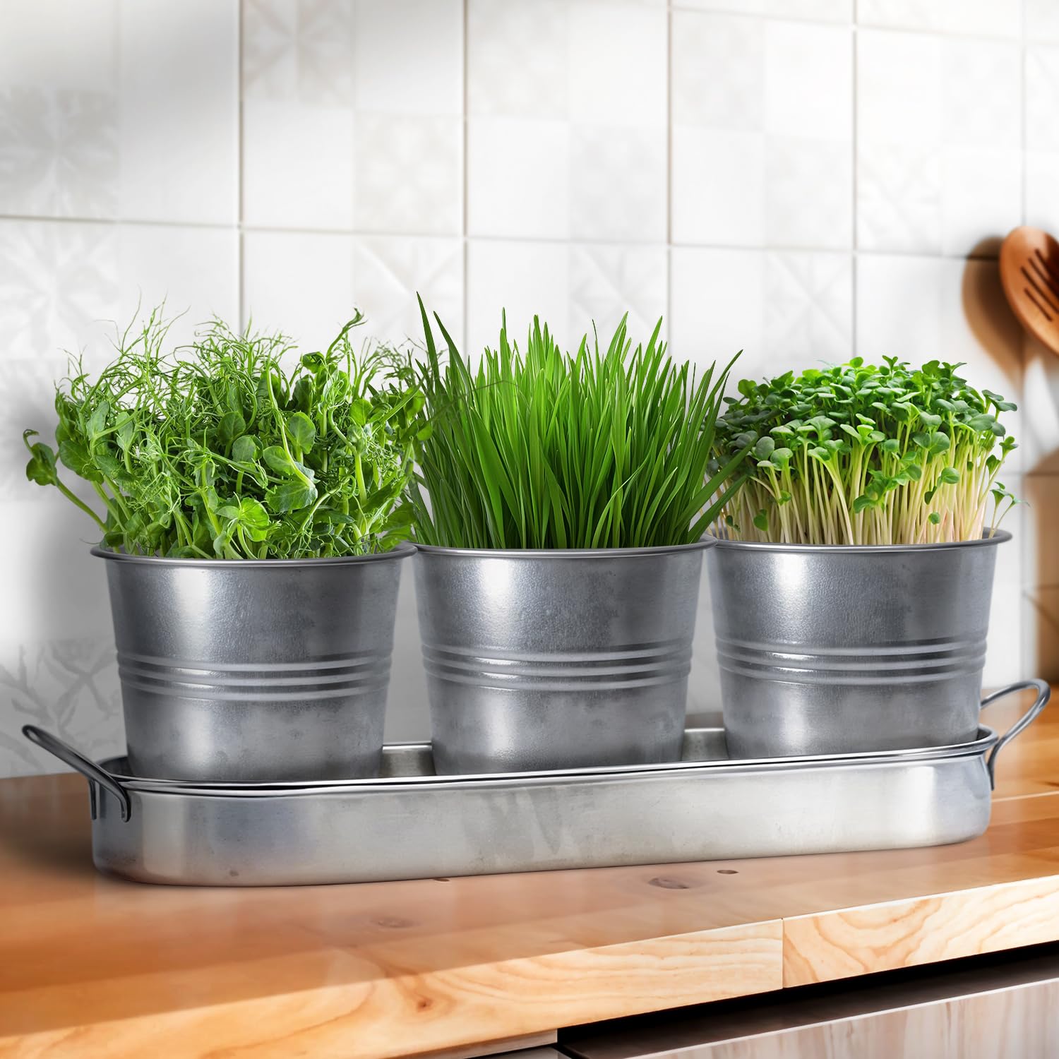 Set of 3 Beige Metal Garden Planters with Tray