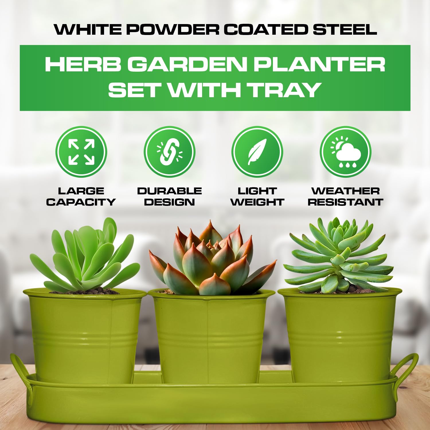 Set of 3 Green Metal Garden Planters with Tray