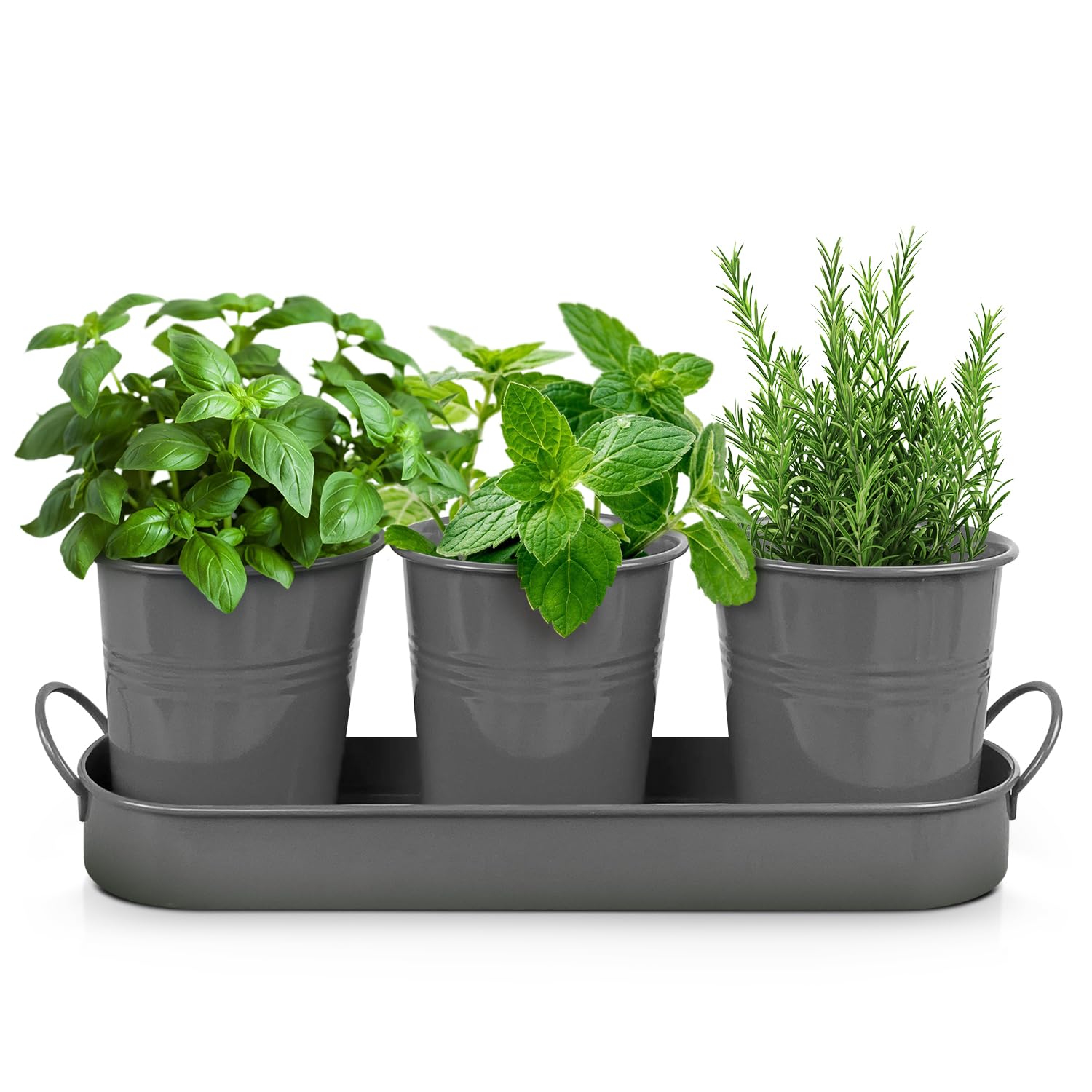 Set of 3 Gray Metal Garden Planters with Tray