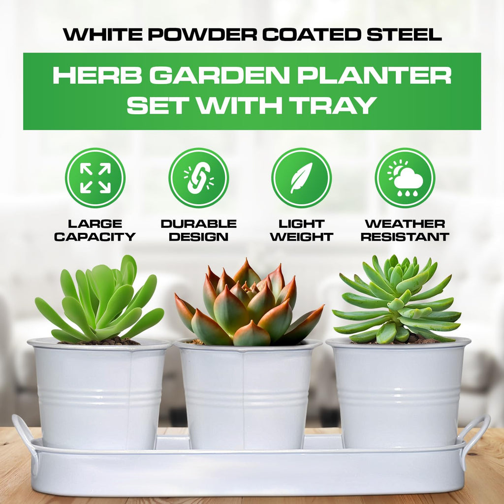Set of 3 White Metal Garden Planters with Tray