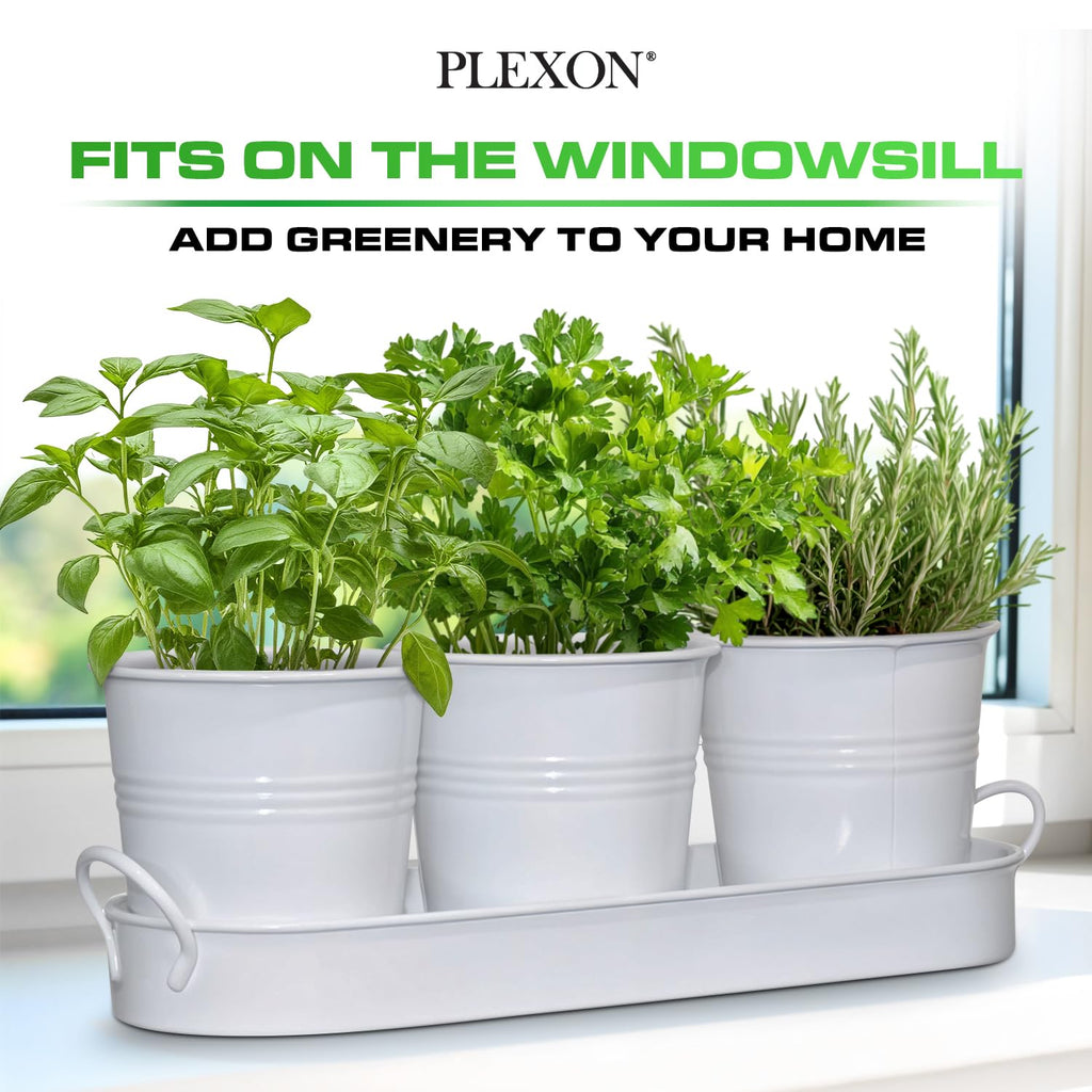 Set of 3 White Metal Garden Planters with Tray