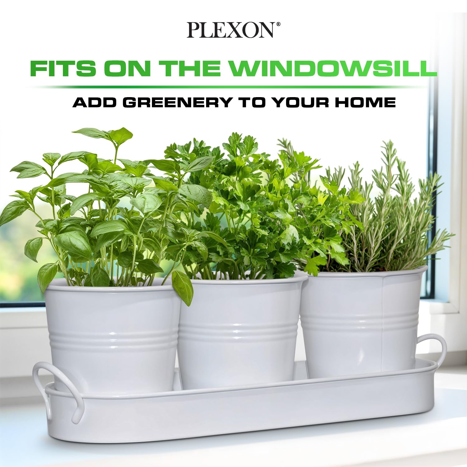 Set of 3 White Metal Garden Planters with Tray