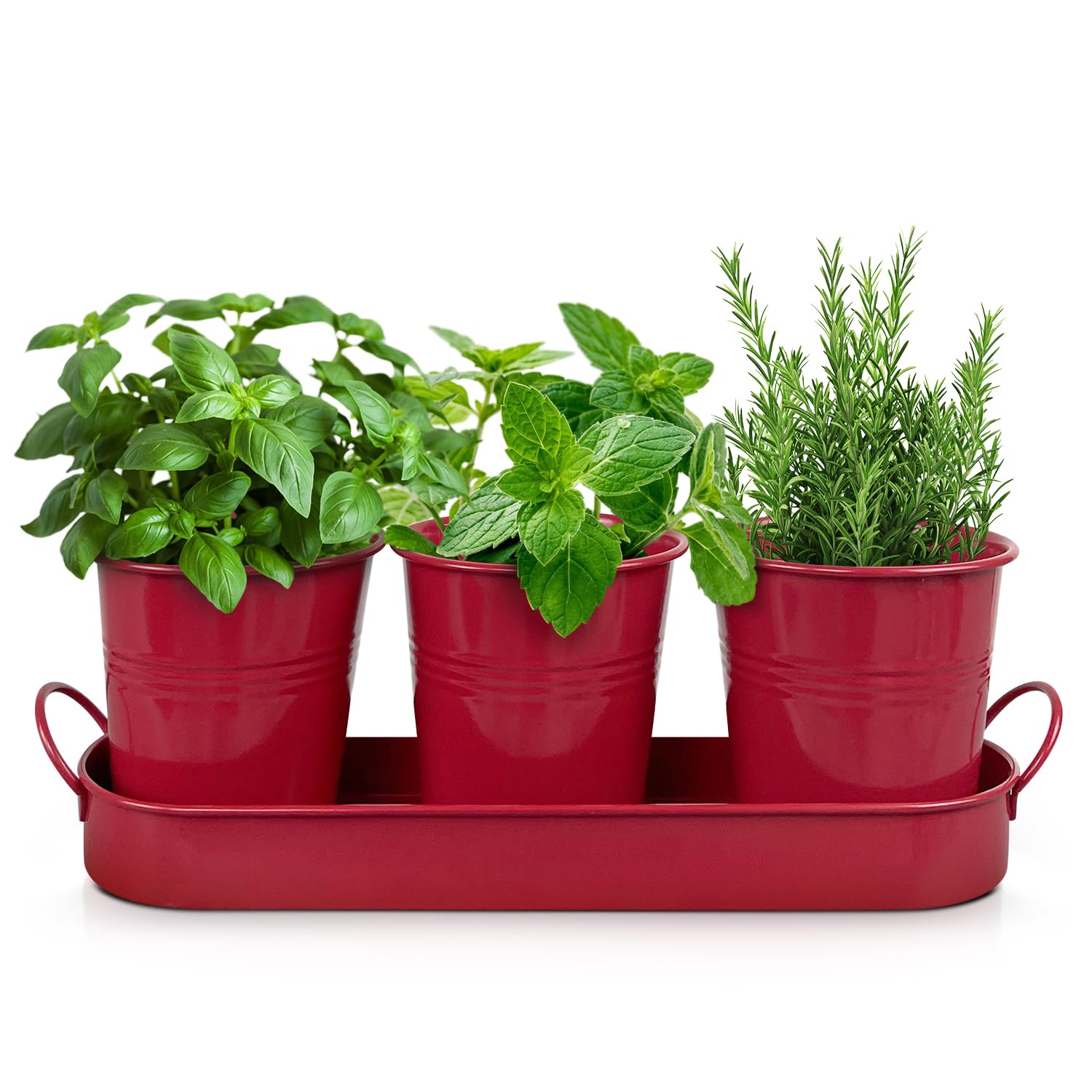 Set of 3 Red Metal Garden Planters with Tray
