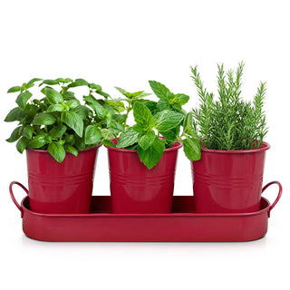 Set of 3 Red Metal Garden Planters with Tray