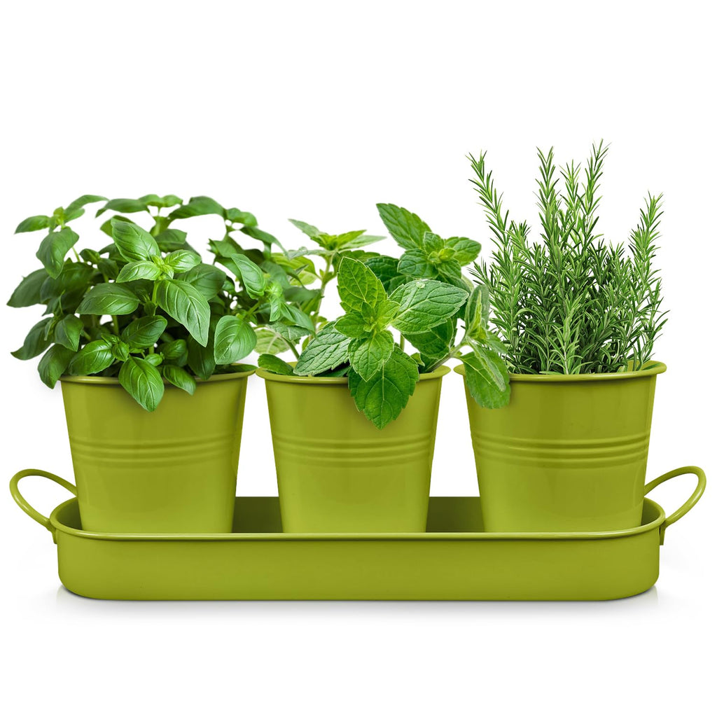 Set of 3 Green Metal Garden Planters with Tray