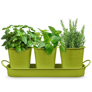 Set of 3 Green Metal Garden Planters with Tray