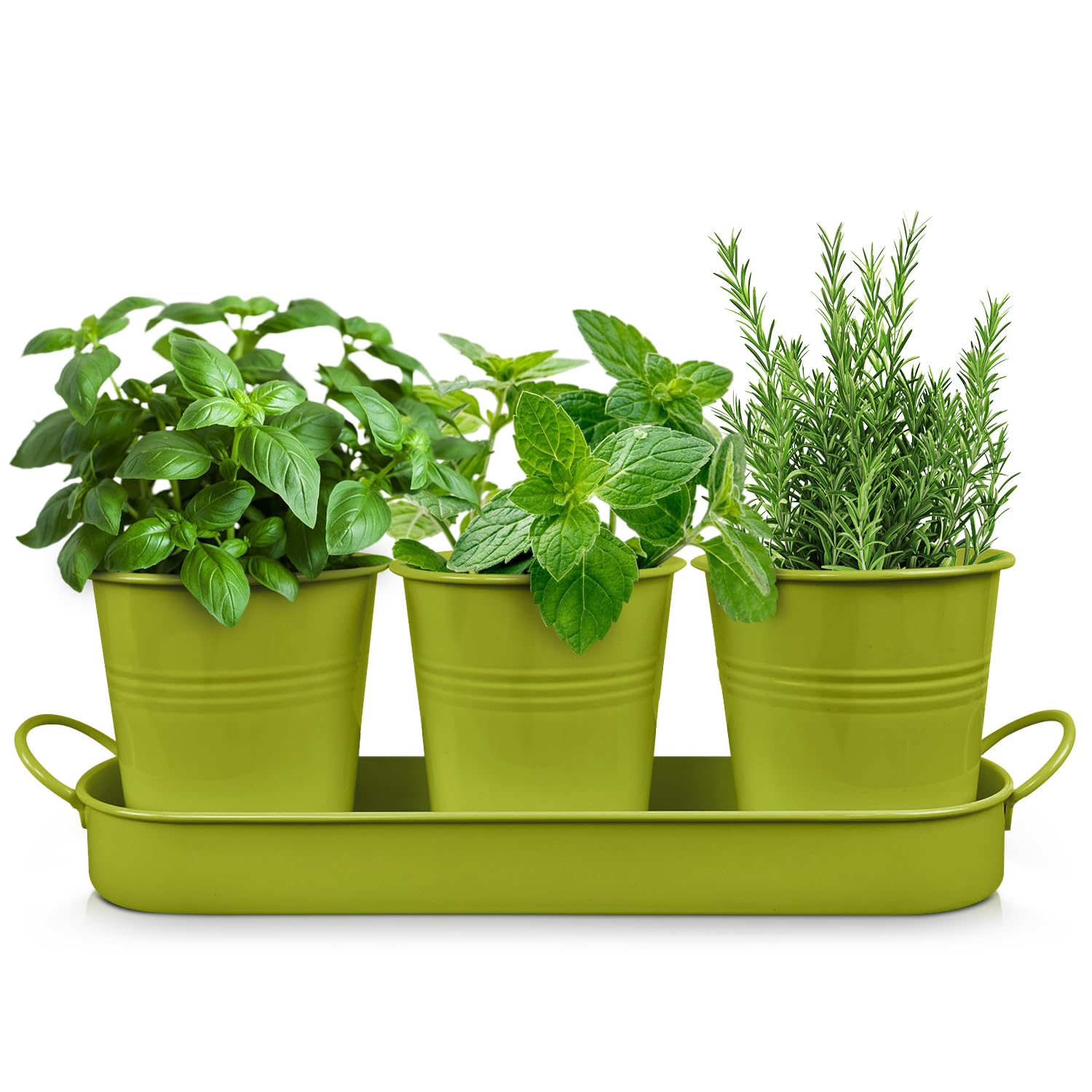Set of 3 Green Metal Garden Planters with Tray