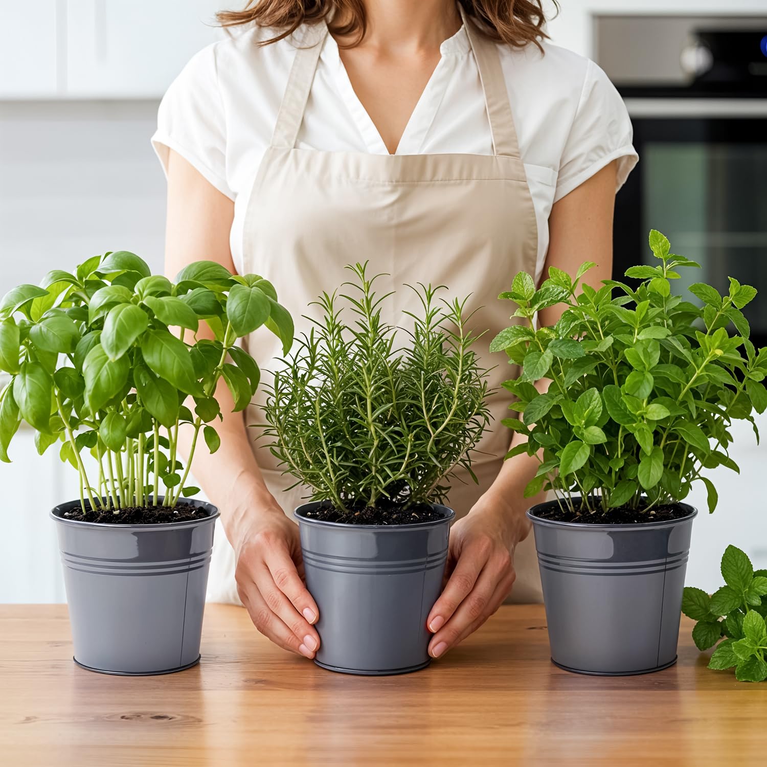 Set of 3 Gray Metal Garden Planters with Tray