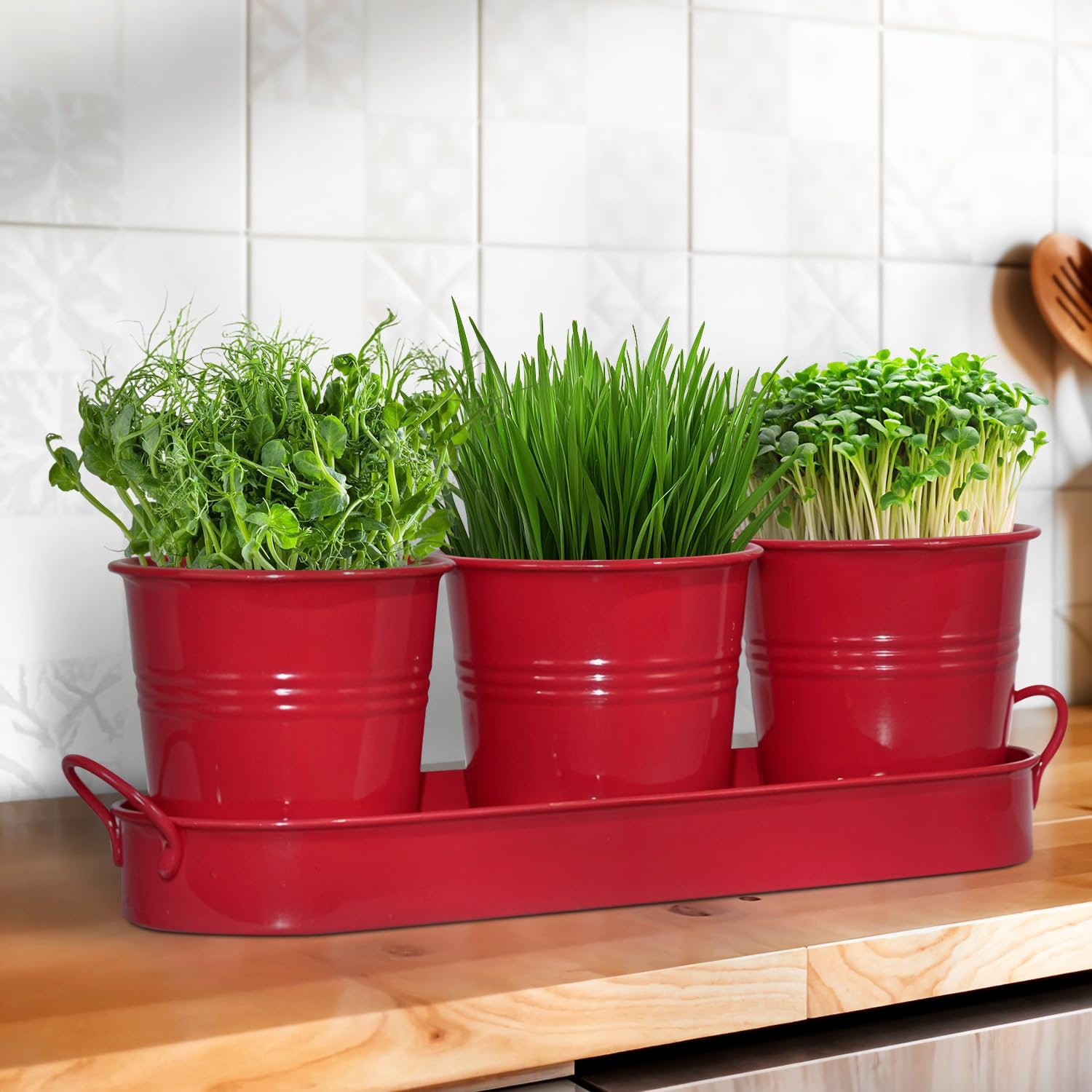 Set of 3 Red Metal Garden Planters with Tray