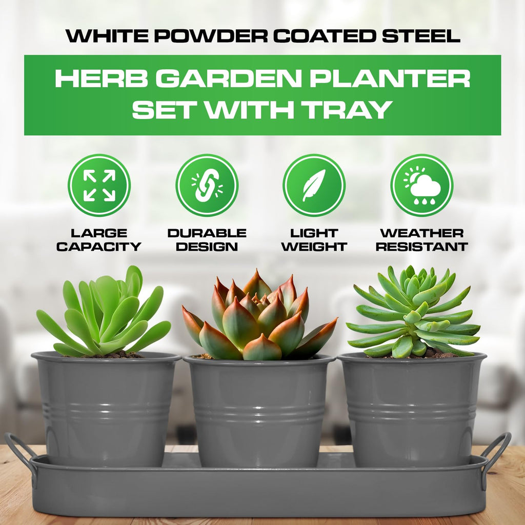 Set of 3 Gray Metal Garden Planters with Tray