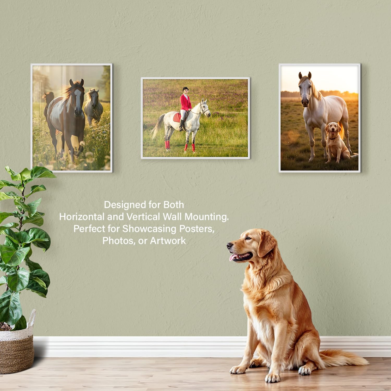 White Poster Frame, 24" x 36" For Horizontal & Vertical Wall Mounting