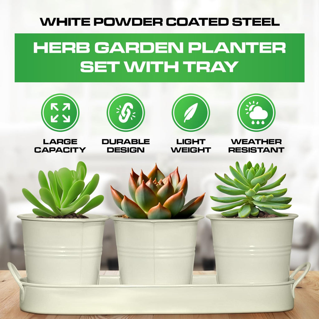 Set of 3 Off-White Metal Garden Planters with Tray