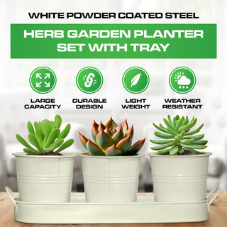 Set of 3 Off-White Metal Garden Planters with Tray