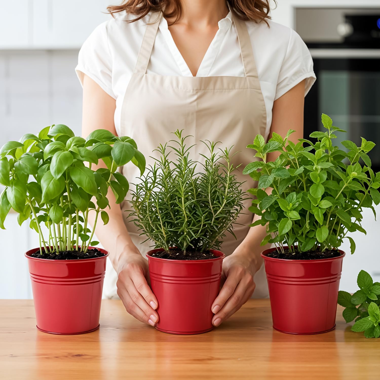 Set of 3 Red Metal Garden Planters with Tray