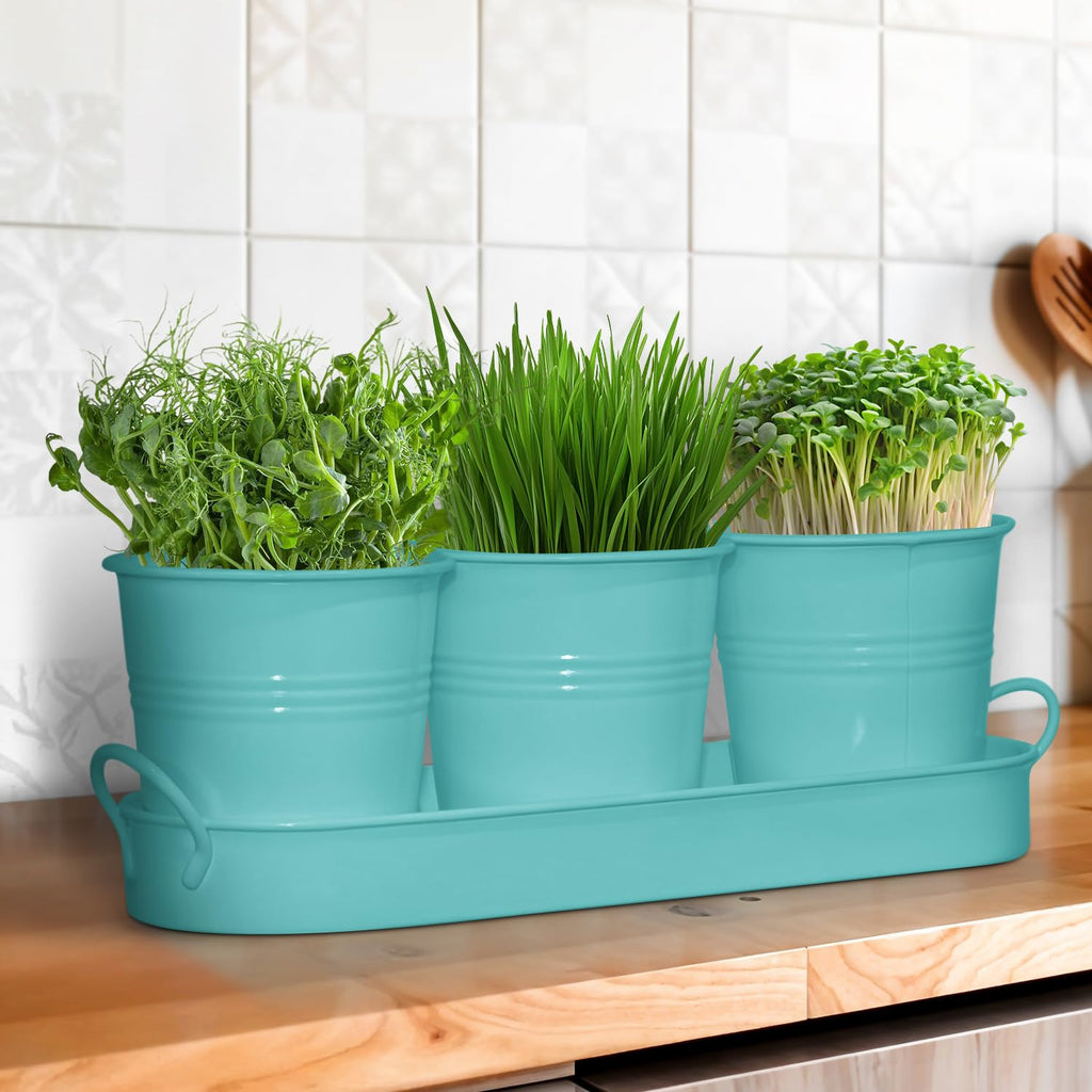 Set of 3 Aqua Mist Blue Metal Garden Planters with Tray