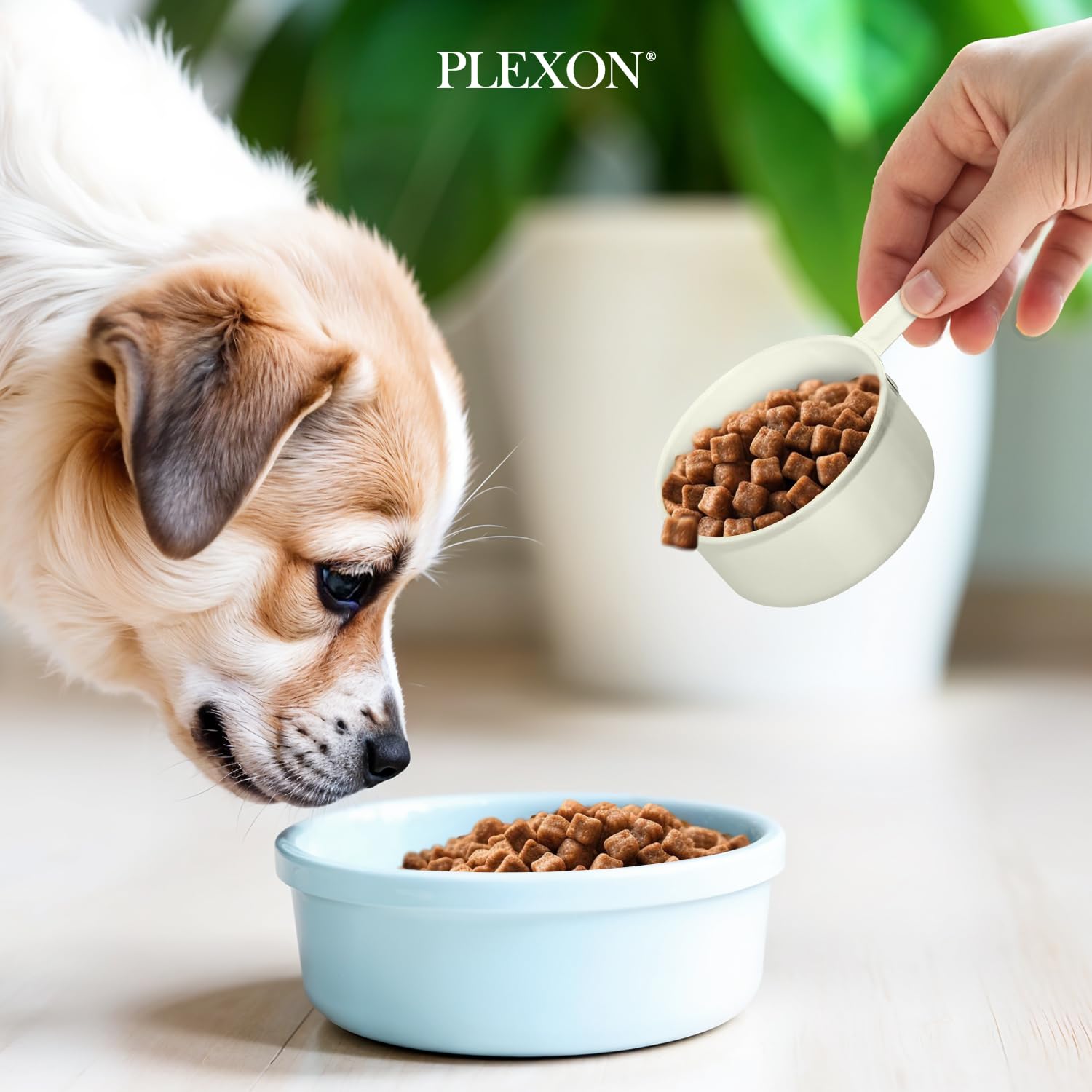 5 lb Square Off-White Metal Pet Food Storage Container with Handles and Scoop