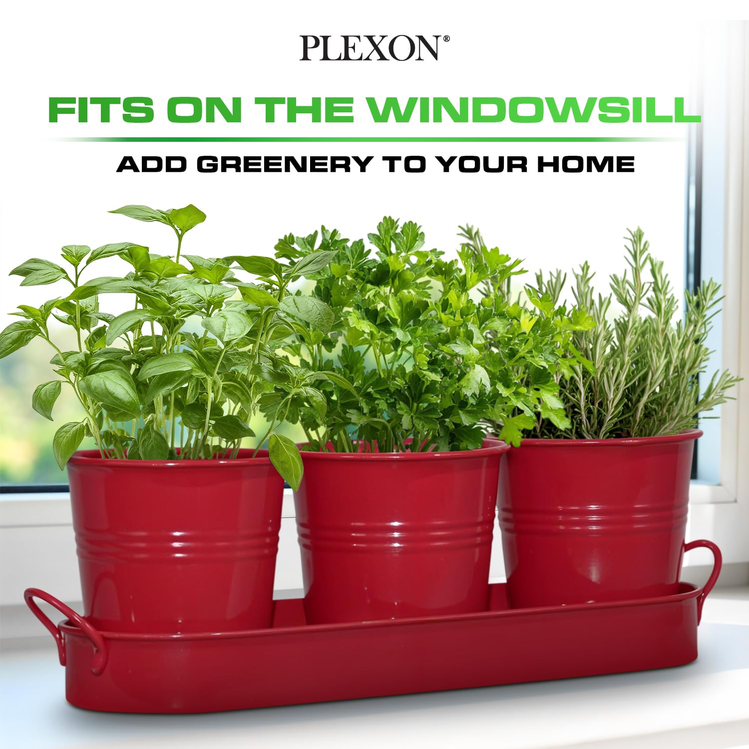 Set of 3 Red Metal Garden Planters with Tray