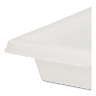 Food/Tote Boxes, 2 gal, 18 x 12 x 3.5, White, Plastic