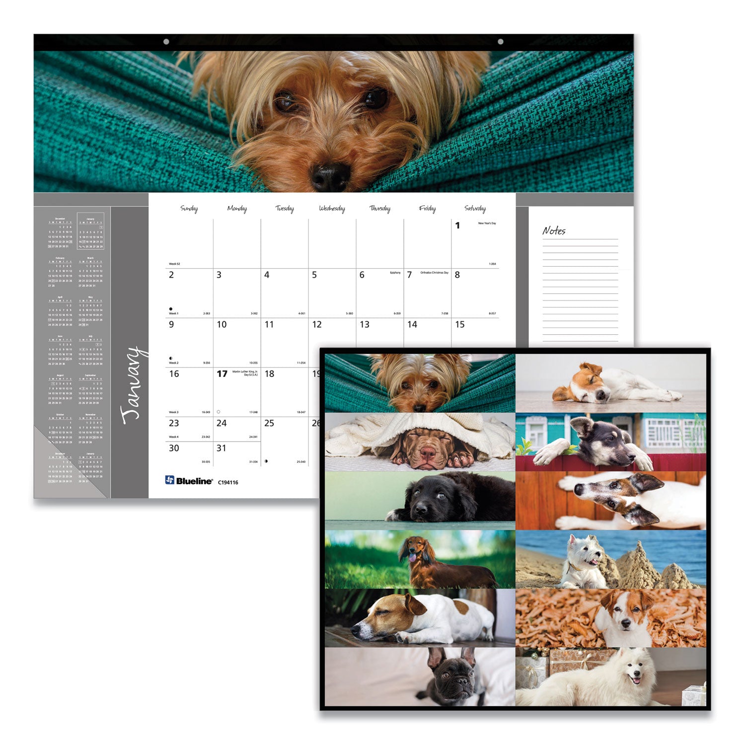 Pets Collection Monthly Desk Pad, Puppies Photography, 22 x 17, Black Binding, Clear Corners, 12-Month (Jan to Dec): 2024 - 2