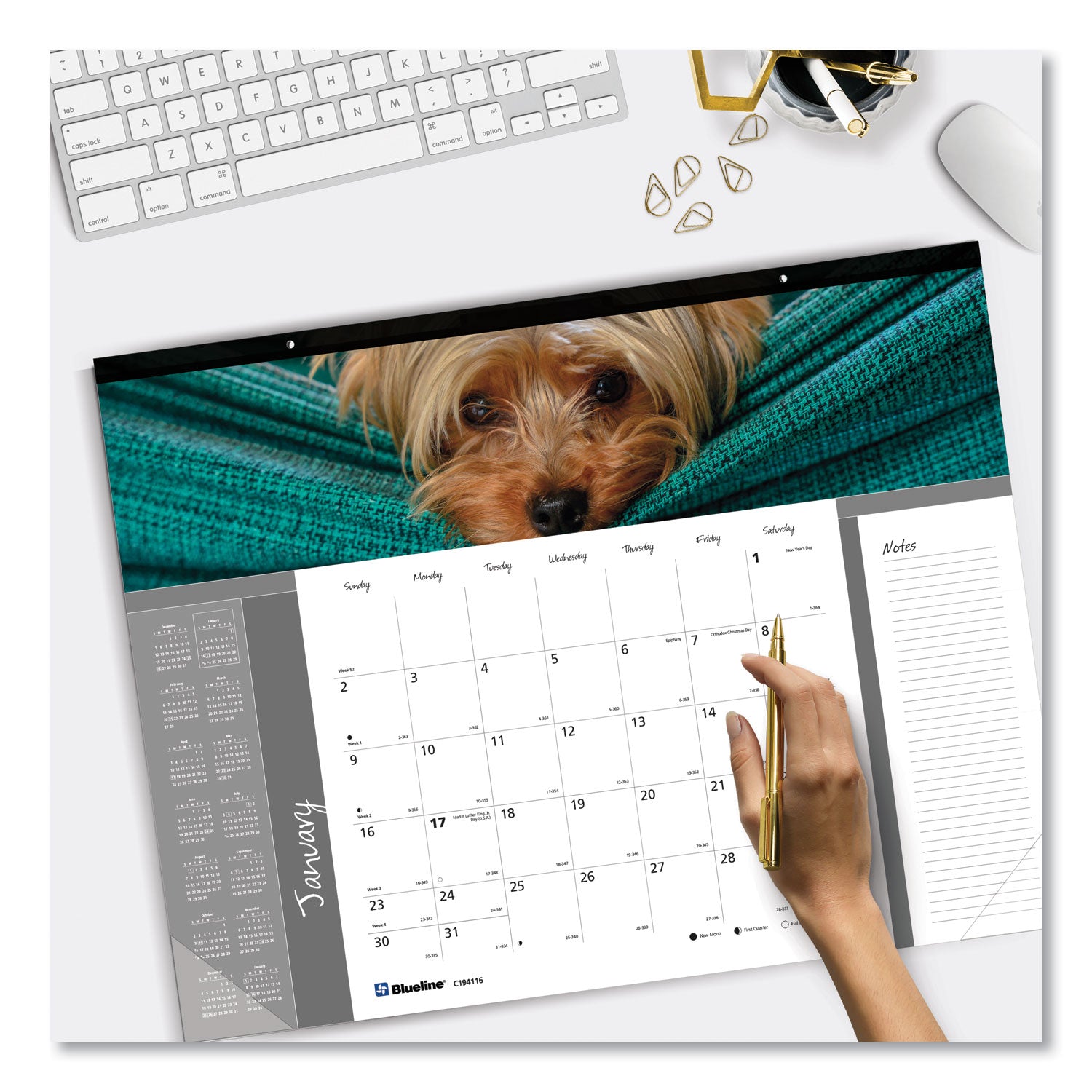 Pets Collection Monthly Desk Pad, Puppies Photography, 22 x 17, Black Binding, Clear Corners, 12-Month (Jan to Dec): 2024 - 4