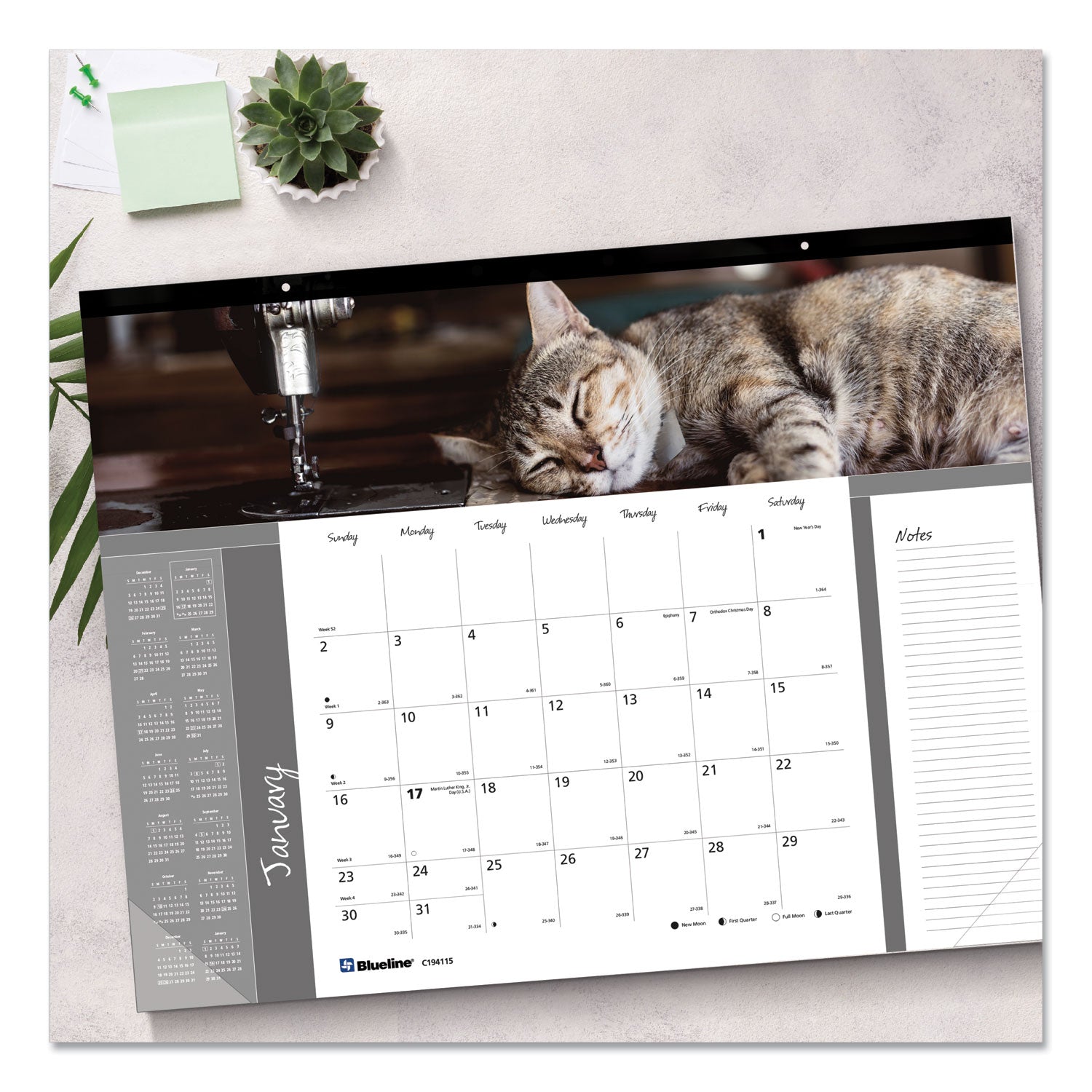 Pets Collection Monthly Desk Pad, Furry Kittens Photography, 22 x 17, White Sheets, Black Binding, 12-Month (Jan-Dec): 2024 - 5