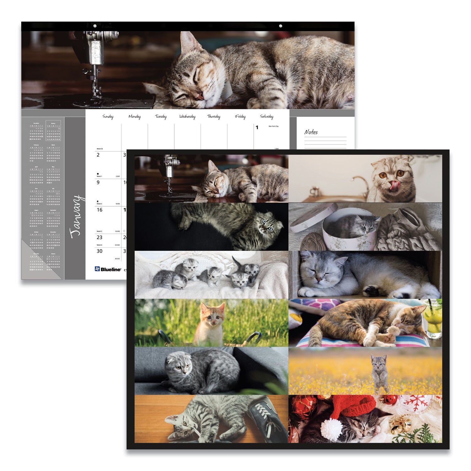 Pets Collection Monthly Desk Pad, Furry Kittens Photography, 22 x 17, White Sheets, Black Binding, 12-Month (Jan-Dec): 2024 - 3