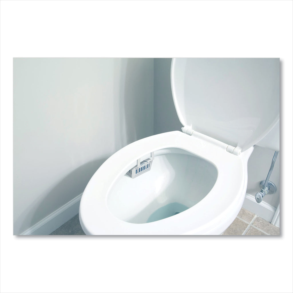 Non-Para Toilet Bowl Block, Lasts 30 Days, Evergreen Scent, White, 12/Box