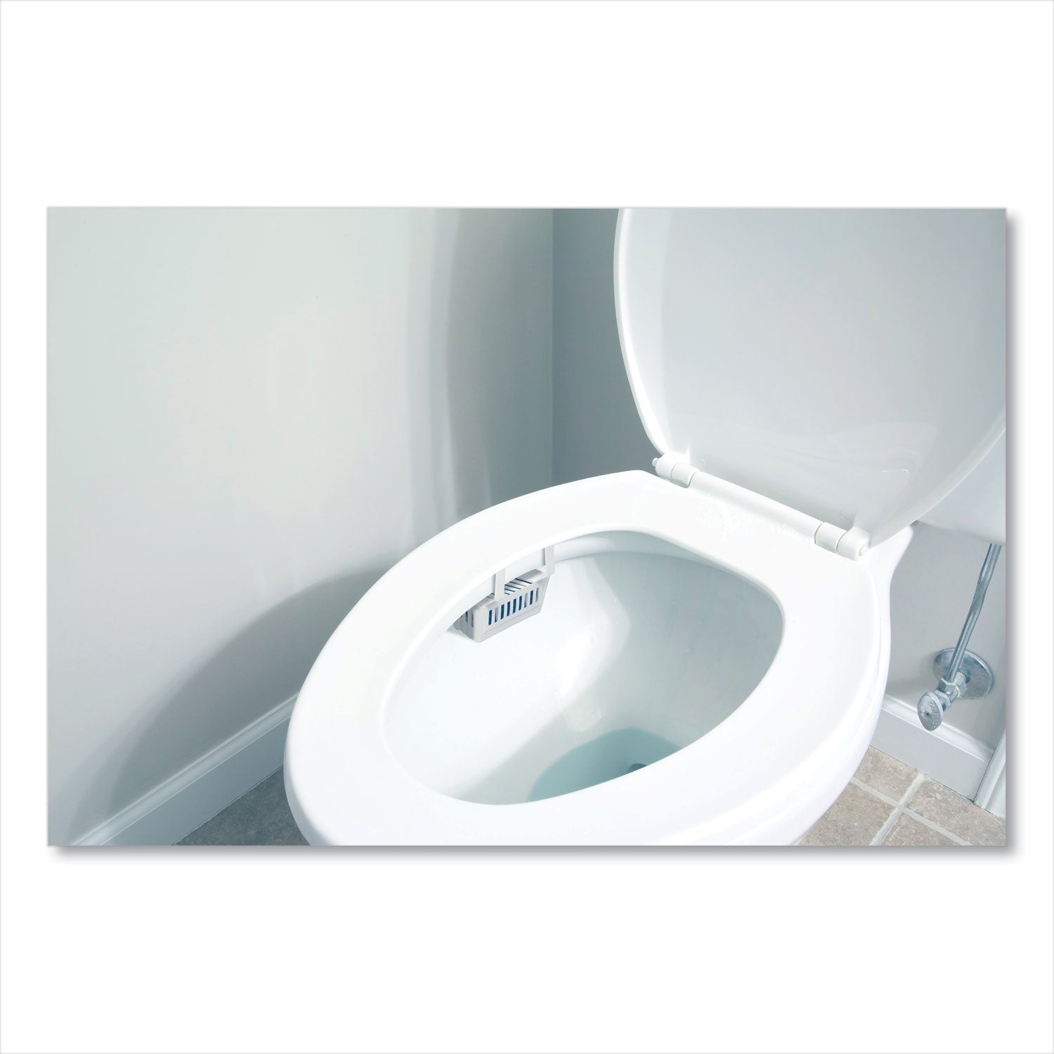 Non-Para Toilet Bowl Block, Lasts 30 Days, Evergreen Scent, White, 12/Box