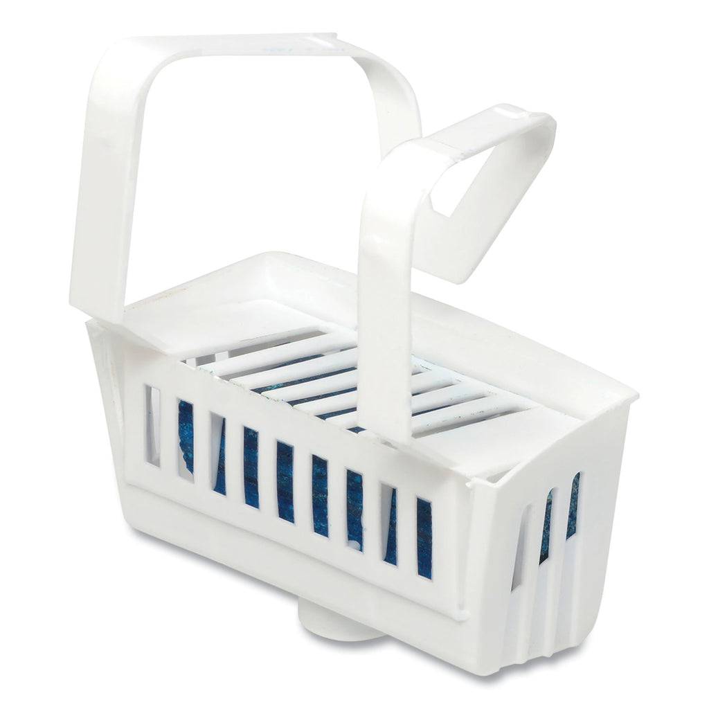 Non-Para Toilet Bowl Block, Lasts 30 Days, Evergreen Scent, White, 12/Box