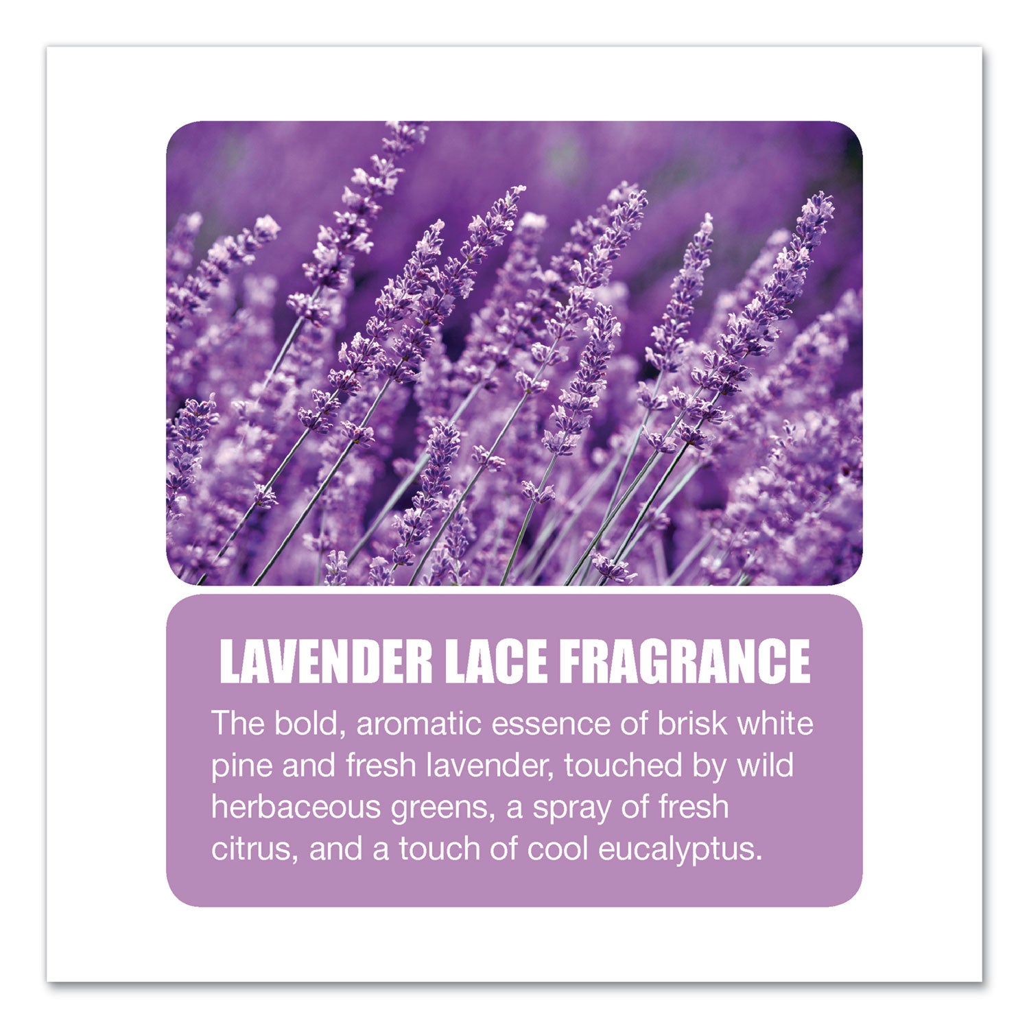 diamond-3d-urinal-screen-lavender-lace-scent-013-oz-lavender-10-box_bgd629 - 5