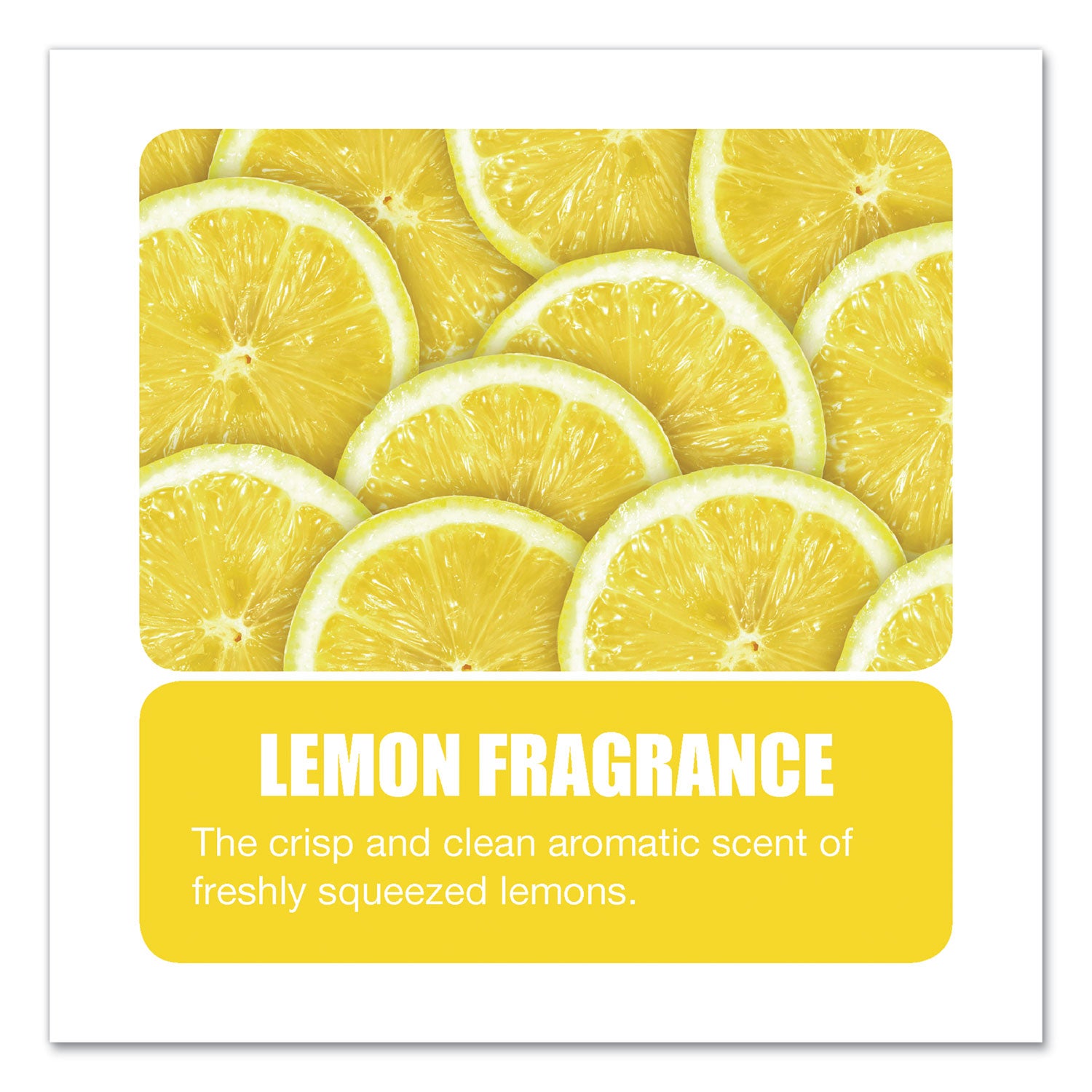 Enzym D Digester Liquid Deodorant, Lemon, 32 oz Bottle, 12/Carton - 