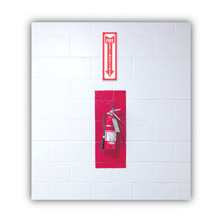 Glow-In-The-Dark Safety Sign, Fire Extinguisher, 4 x 13, Red