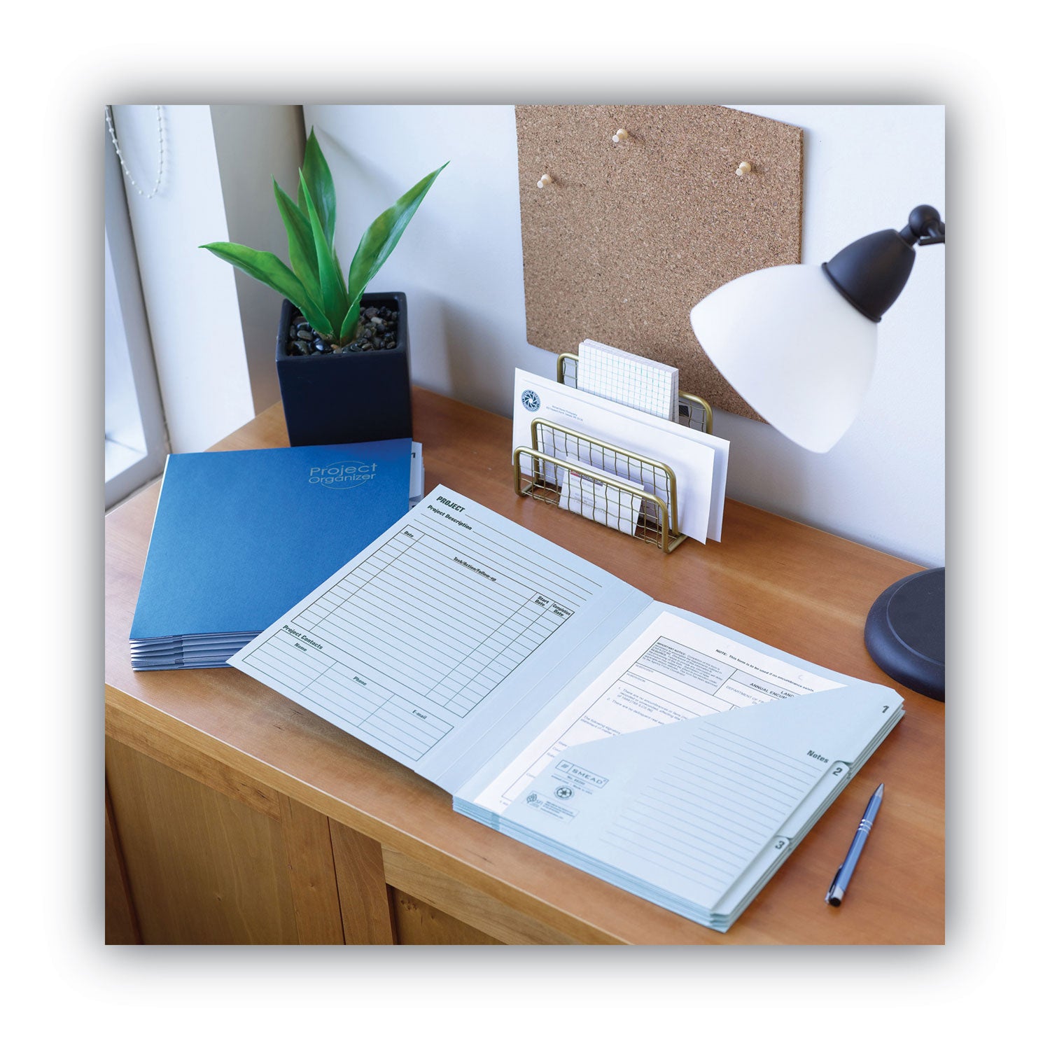 10-Pocket Project Organizer with Indexed Tabs (1-10), 10 Sections, Unpunched, 1/3-Cut Tabs, Letter Size, Lake Blue/Navy Blue - 