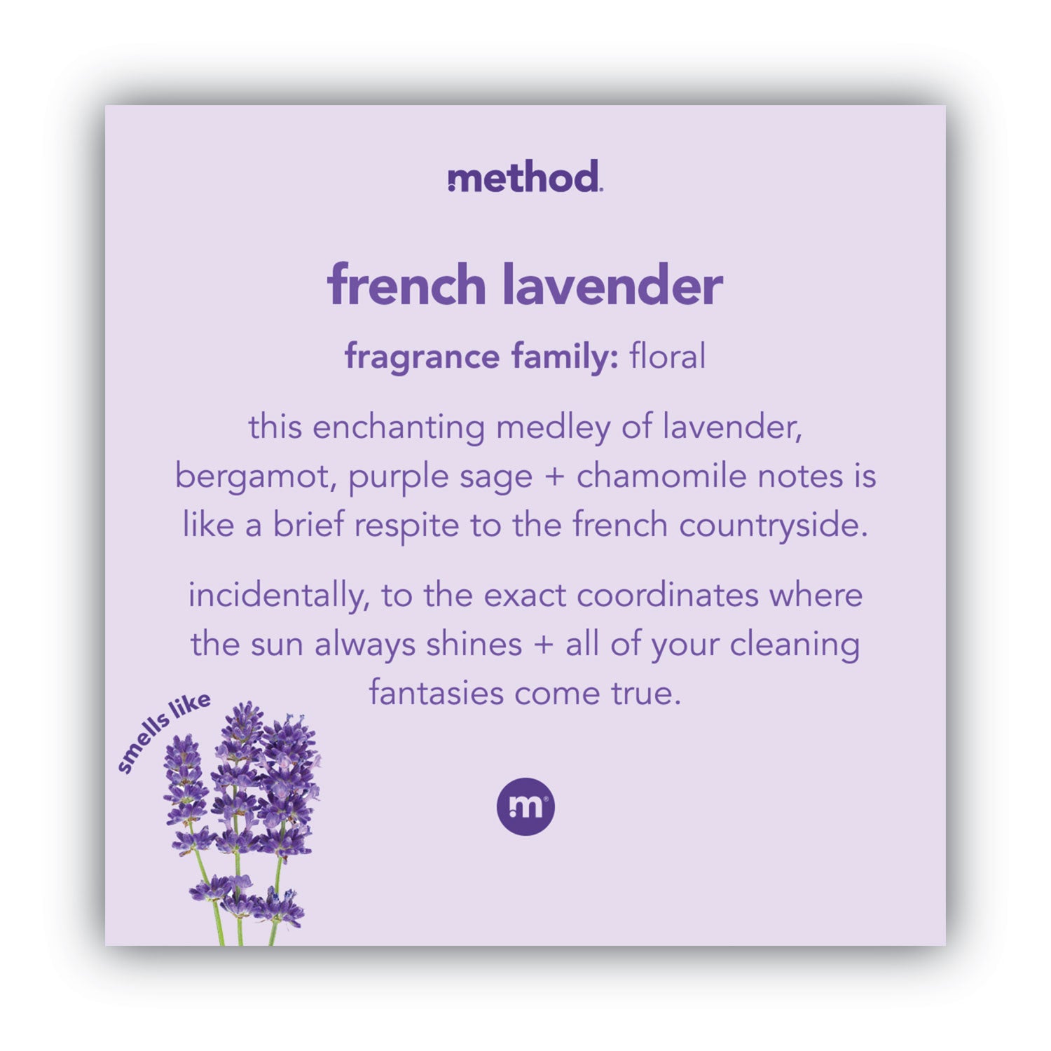 gel-hand-wash-french-lavender-12-oz-pump-bottle_mth00031 - 2