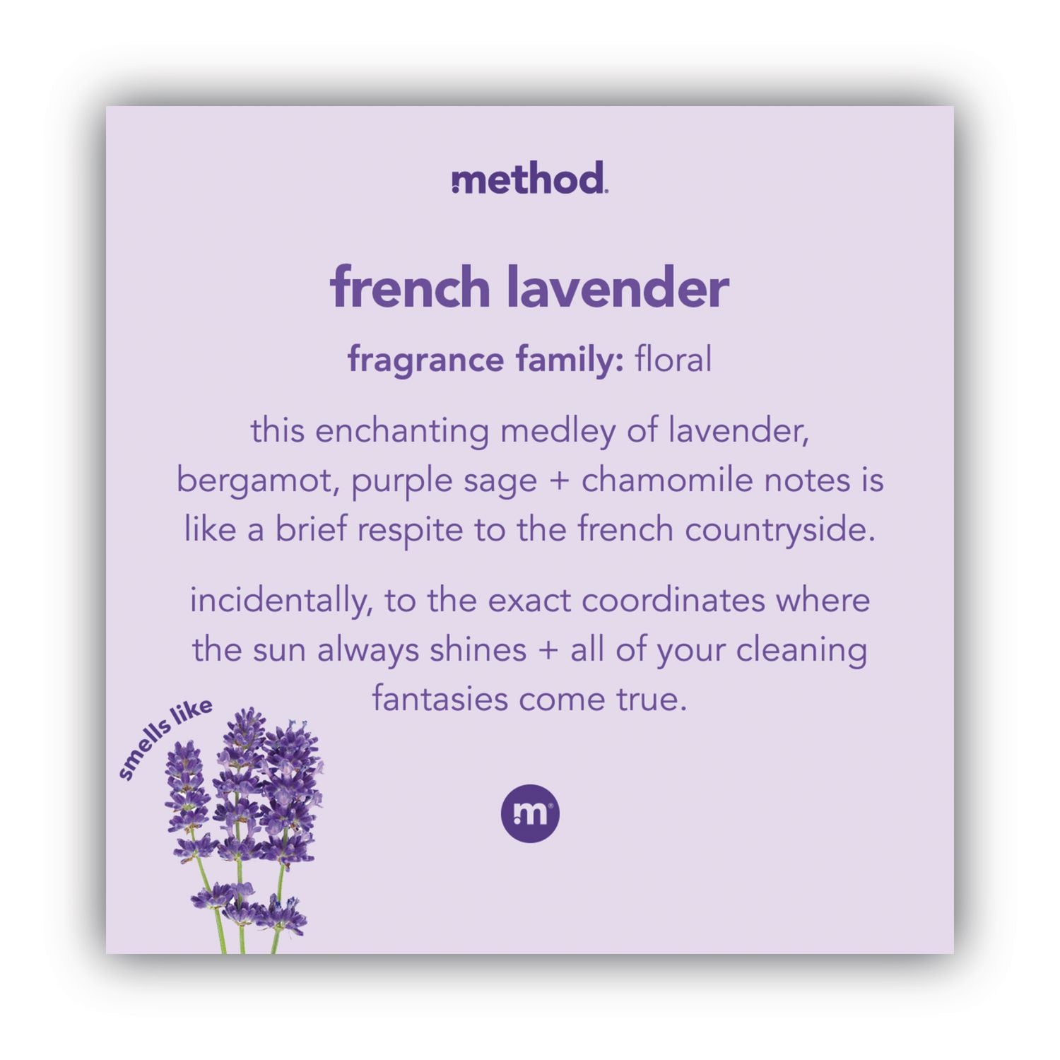 Gel Hand Wash, French Lavender, 12 oz Pump Bottle