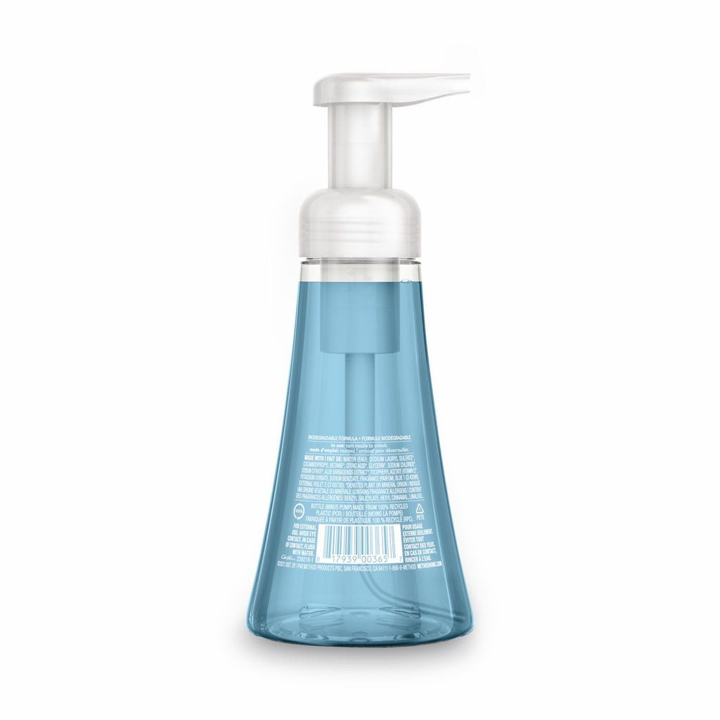 Foaming Hand Wash, Sea Minerals, 10 oz Pump Bottle, 6/Carton