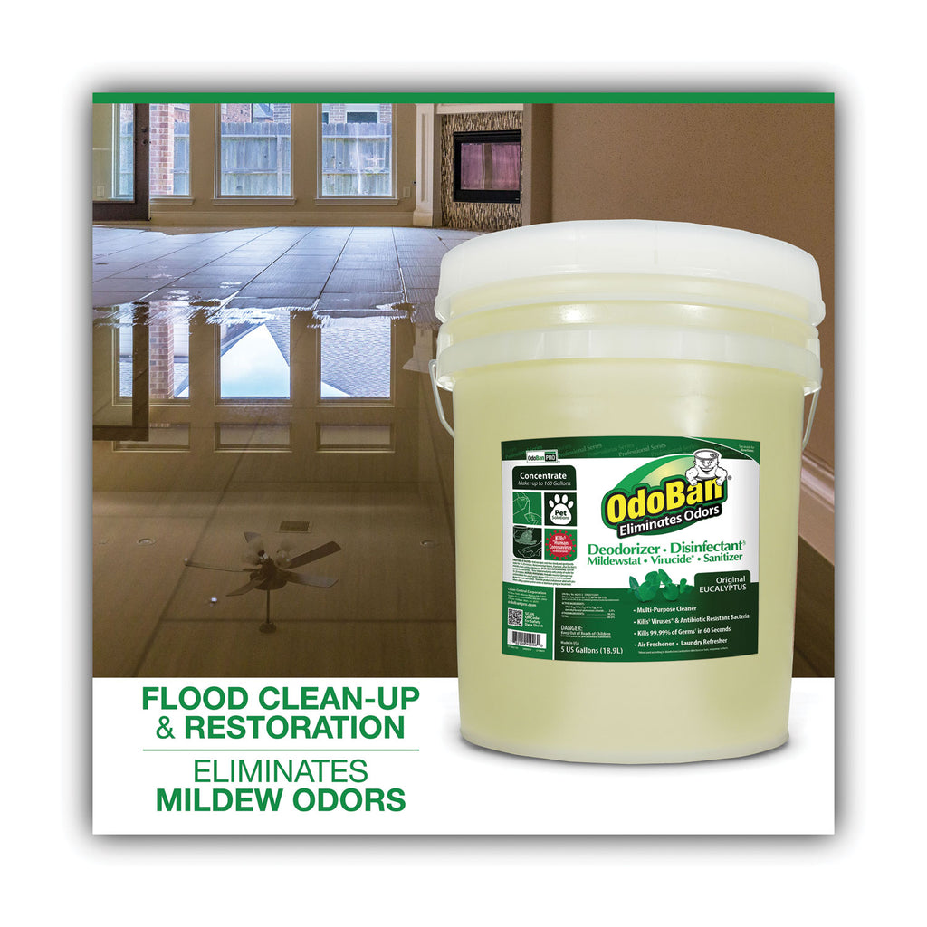 concentrated-odor-eliminator-and-disinfectant-eucalyptus-5-gal-pail_odo9110625g - 3