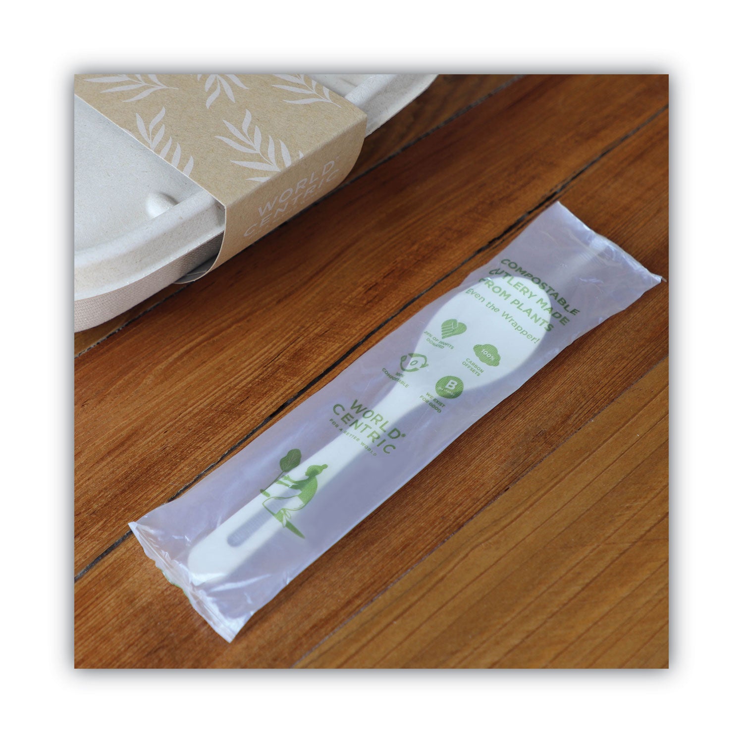 tpla-compostable-cutlery-spoon-6-white-750-carton_worsppsi - 3