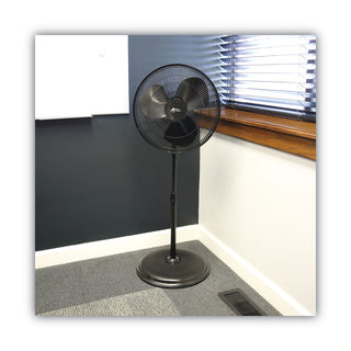 16-3-speed-oscillating-pedestal-stand-fan-metal-plastic-black_alefanp16b - 4