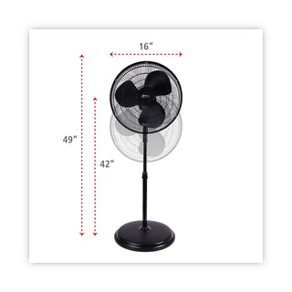 16-3-speed-oscillating-pedestal-stand-fan-metal-plastic-black_alefanp16b - 2