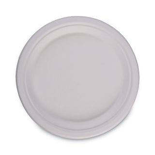 bagasse-dinnerware-plate-10-dia-white-500-carton_bwkplatewf10 - 2