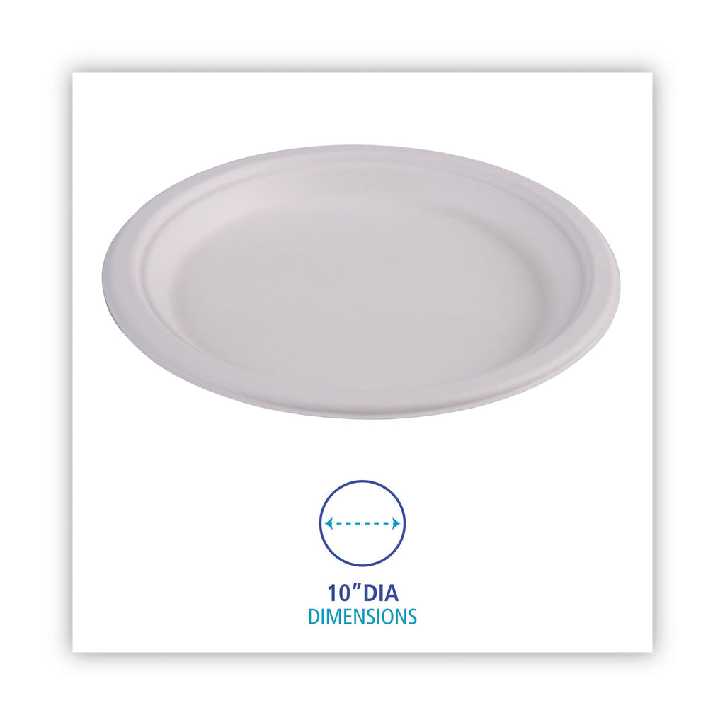 bagasse-dinnerware-plate-10-dia-white-500-carton_bwkplatewf10 - 3