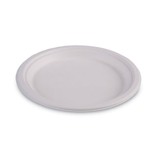 bagasse-dinnerware-plate-10-dia-white-500-carton_bwkplatewf10 - 4