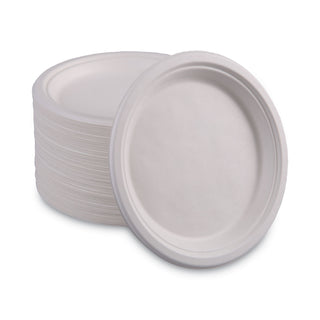 bagasse-dinnerware-plate-10-dia-white-500-carton_bwkplatewf10 - 5