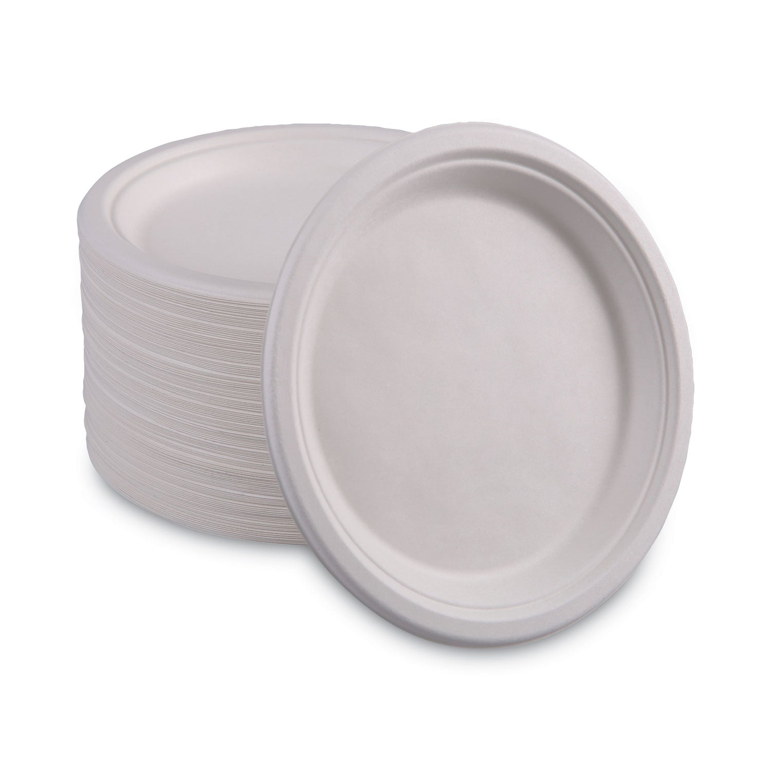 bagasse-dinnerware-plate-10-dia-white-500-carton_bwkplatewf10 - 5