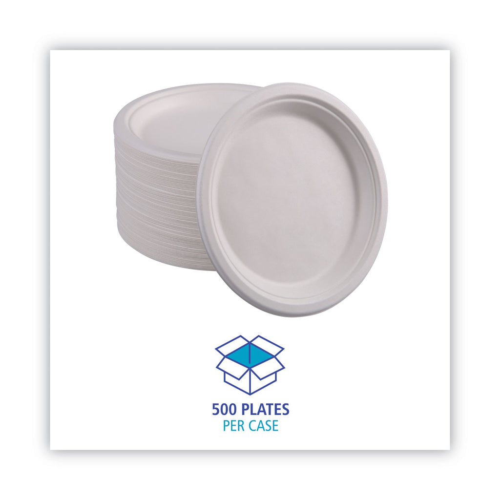bagasse-dinnerware-plate-10-dia-white-500-carton_bwkplatewf10 - 6