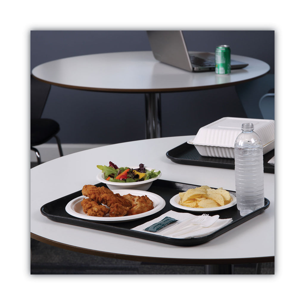bagasse-dinnerware-plate-10-dia-white-500-carton_bwkplatewf10 - 8